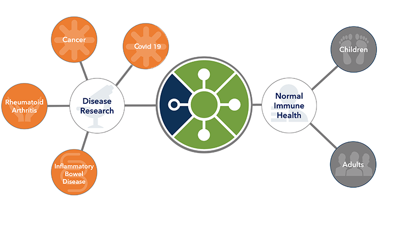 diagram-img